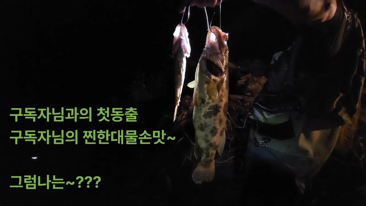 한탄강 중상류 구독자님과 첫동출 쏘가리낚시