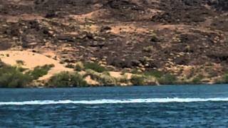 2011 Desert Storm Poker Run - North of Black Meadow