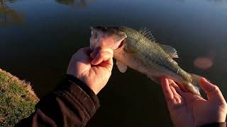 Texas Andrew Brown Park Bass Fishing