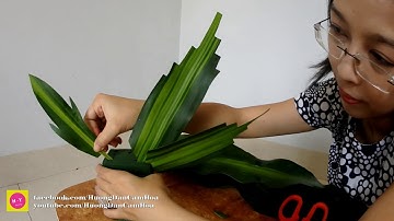 Cắt Tỉa Lá Cơ Bản tập 7 | CÁCH CẮT 3 Mẫu Lá Thiết Mộc Lan -Dạy cắm hoa