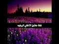 حفلة شامل العماري 1997 