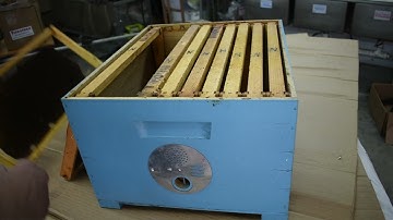 How to build and set up a bait hive