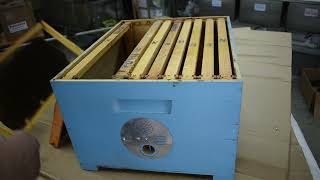 How to build and set up a bait hive
