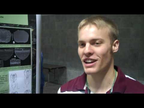 spider monkey Grey Gustafson Interview
