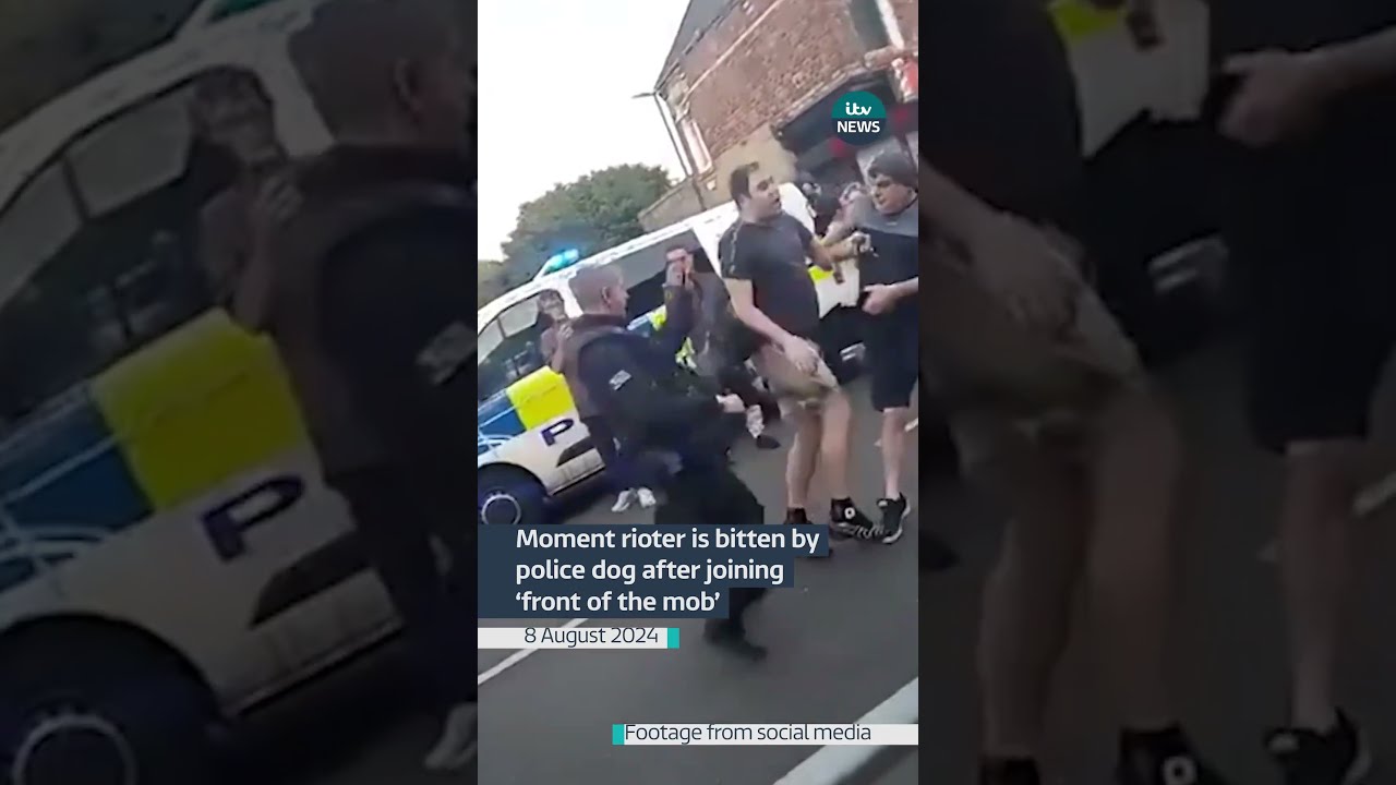 Moment Rioter Is Bitten By Police Dog After Joining Front Of The Mob Itvnews News Riot