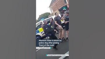 Moment rioter is bitten by police dog after joining ‘front of the mob’ #itvnews #news #riot
