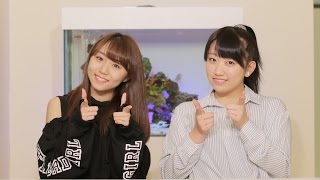 ℃-ute新曲MV、研修生北海道MV、アンジュルムライブ、こぶしコメント、娘。'17新曲ダンスレッスン、アンジュルムスポーツのお時間　MC：室田瑞希、和田桜子【ハロ！ステ#210】