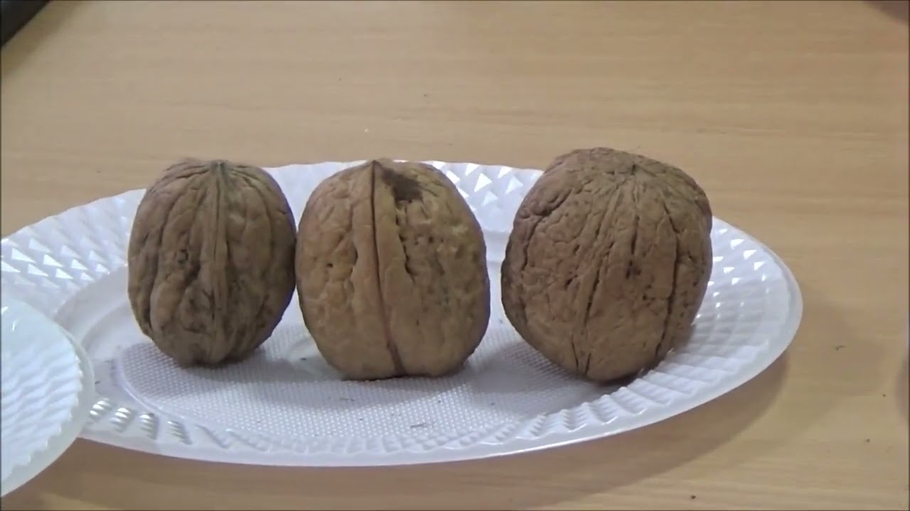 Филипп Литра в 2022 году. Декабрь 2022