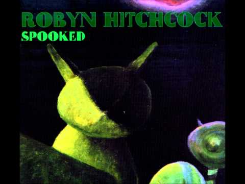 Robyn Hitchcock - Television