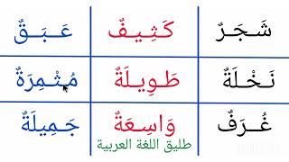 تعلم القراءة والكتابة/ قراءة كلمات مع التنوين بالضم