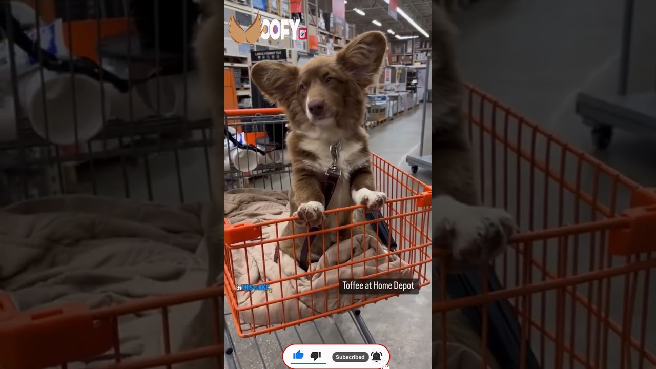 Just a thing of beauty...