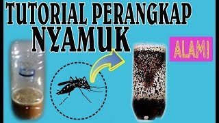 CARA MEMBUAT PERANGKAP NYAMUK SEDERHANA DARI BOTOL BEKAS