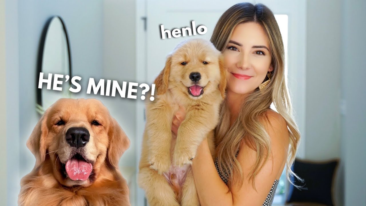 ⁣My Dog Becomes a Father | Part 1