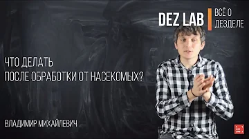 Что делать после обработки от насекомых?