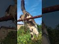 Засекли нас Засекли нас