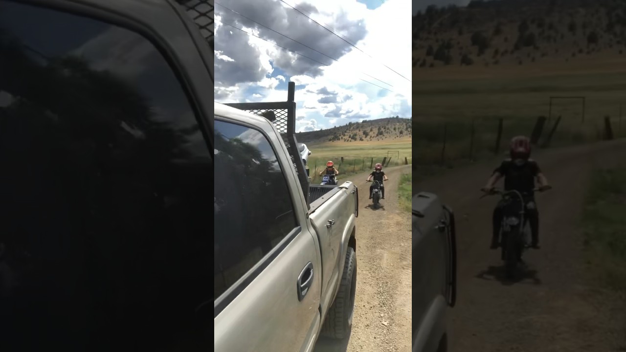 I’m being followed by some hooligans!! 