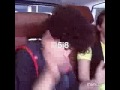 تاكتكه تاكتكه