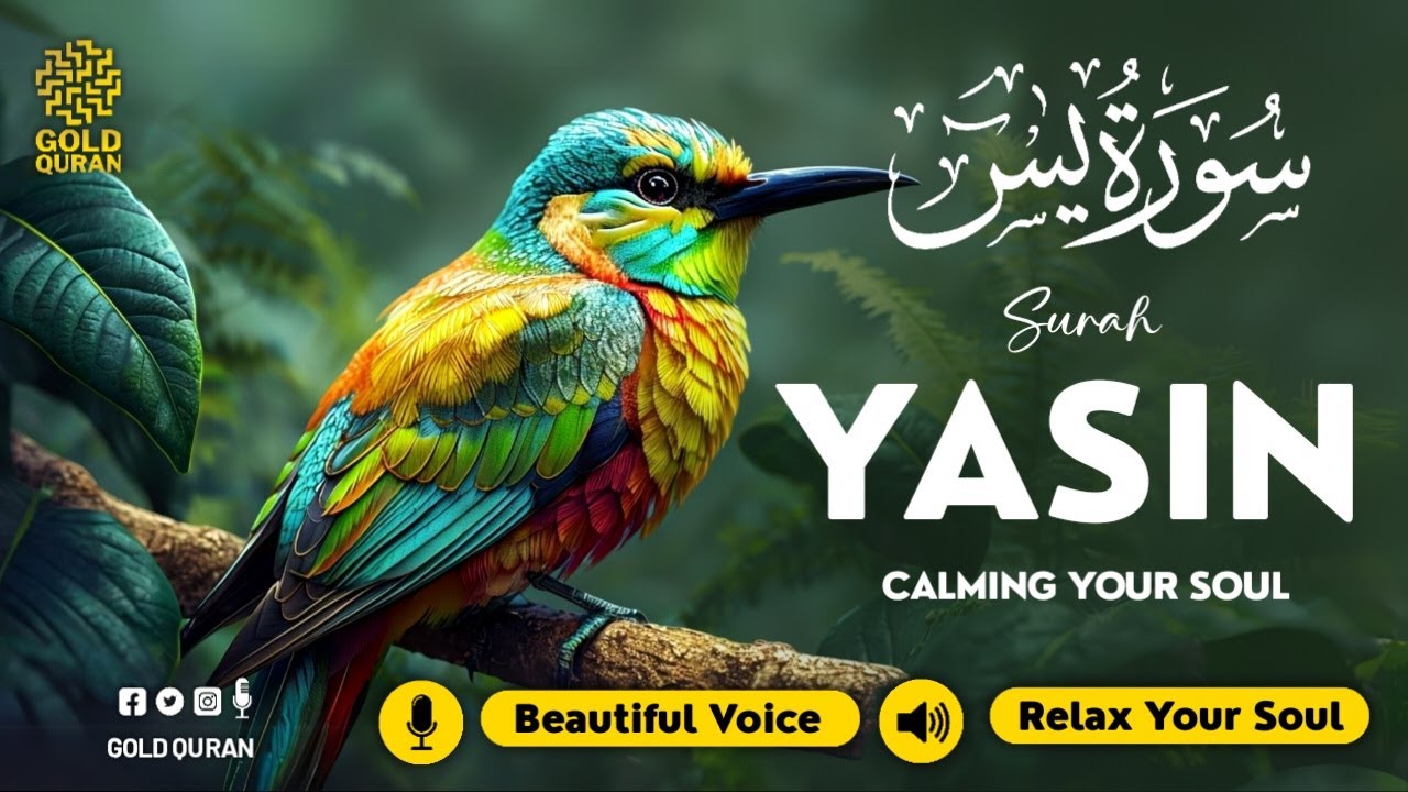 Calming Surah Yasin for Peaceful Sleep, Stress Relief & Inner Peace ✦ Surah Yaseen Quran Audio