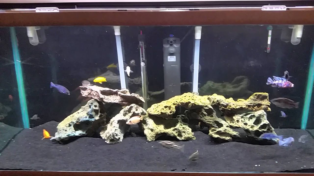 Filtration I Use on My 75 GALLON. YouTube