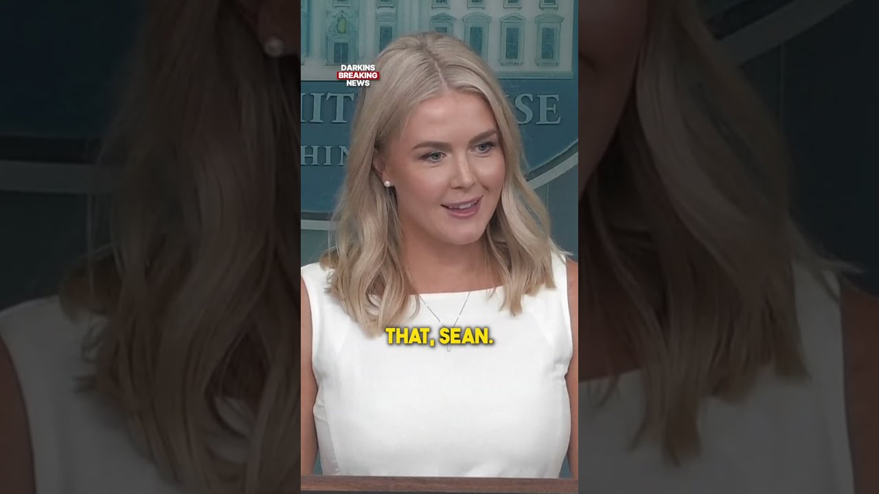 Karoline Leavitt DESTROYS New York Times Reporter