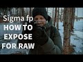 How to Expose Sigma fp for Cinema DNG RAW and Preserve Highlights