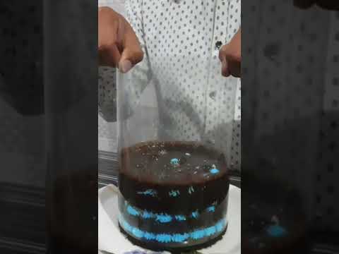 Amazing Chocolate Cake - Dished #Shorts