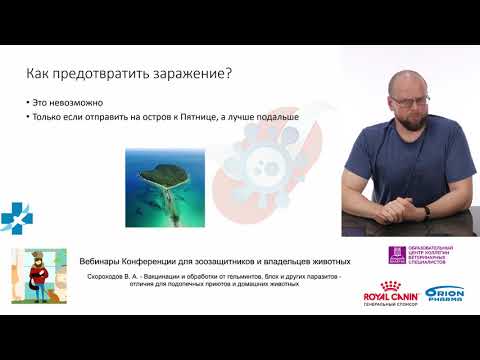 Видео: Серия вакцинации кошек, часть 4 - Три ненужные вакцины для кошек