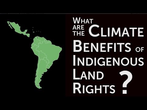 What are the climate benefits of indigenous land rights?