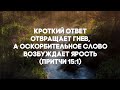 НЕ СПЕШИ ОТВЕЧАТЬ ❗ - стихи христианские 🙏🕊️💕