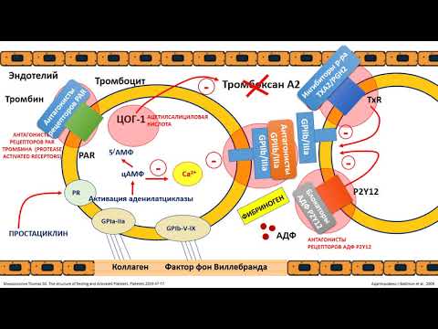 Антиагреганты