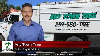 Any Town Tree Reviews - 5 Stars for Tree Service in Naples