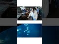 Monterey Bay Aquarium: Check Out These Underwater Wonders!