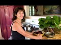 How to Cook Beets without Losing Nutrients