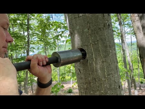treehouse attachment bolts