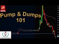 How to Spot Pump and Dumps | Pump & Dumps 101