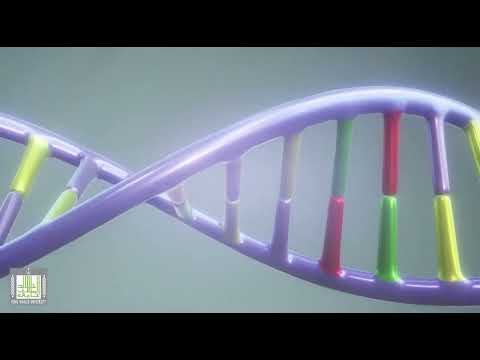 فيديو: ما فائدة كل 3 أحرف على شفرة DNA؟