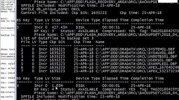 Oracle DBA 11g Tutorial in Bangla: Lessn#16 P#3 Database Recovery| Incremental Backup & Recovery