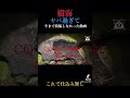 樹海のヤバ過ぎる動画【ガチ閲覧注意】