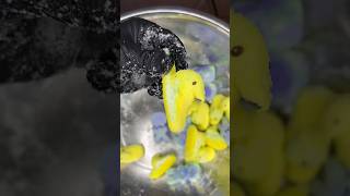 Out Freeze Drier Blew Our Peeps Up 🐥🫣 #peeps #eastereggs #easter #satisfying #asmr