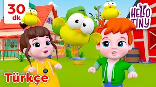 Hayvan Sesleri Şarkısı Bebekler Için Şarkılar Hello Tiny Türkçe