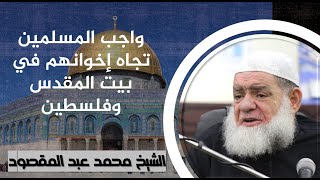 واجب المسلمين تجاه إخوانهم في بيت المقدس وفلسطين | الشيخ محمد عبد المقصود