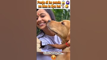 Pooja di ko panda 😱🙆🏻‍♀️ ne kiss le liya hai 🐕😘#ginnipandey #kiss #fun #shorts #reaction
