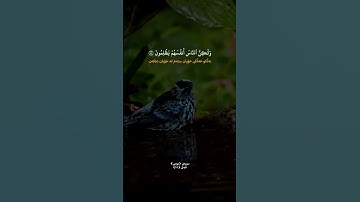 #سورة_يونس💛 #المصحف #اكسبلور #quran
