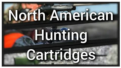 A Brief Discussion On Three Popular Rifle Hunting Cartridges In North America