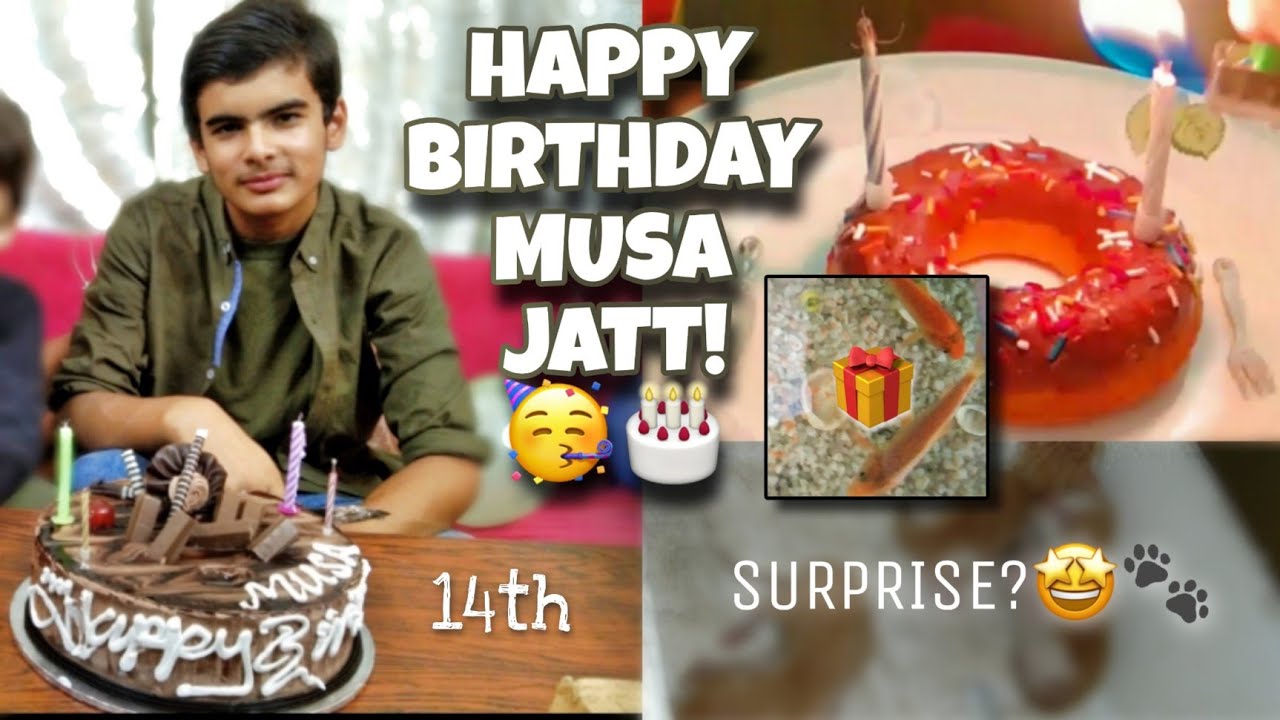 HAPPY 14TH BIRTHDAY MUSA JUTT! 🎉🎂 | Birthday Boy 🎁 | 4 Baby Kittens😍🐾 ...