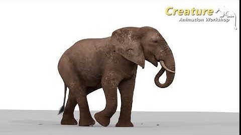 CreatureAnimationWorkshop works_Elephant animation by Ankit.