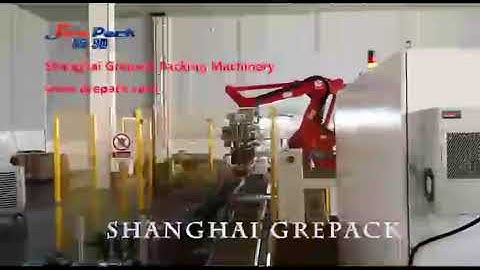 automatic robot type carton packing machine
