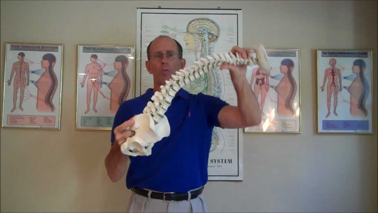 Vertebral Subluxation