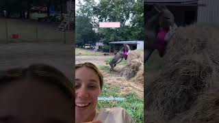 This video made me so happy what does it make you feel? I love donkeys by Pets on Q 169 views 7 months ago 1 minute, 19 seconds