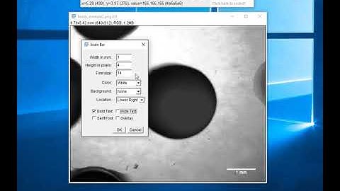 Using ImageJ to add a scale bar to an image